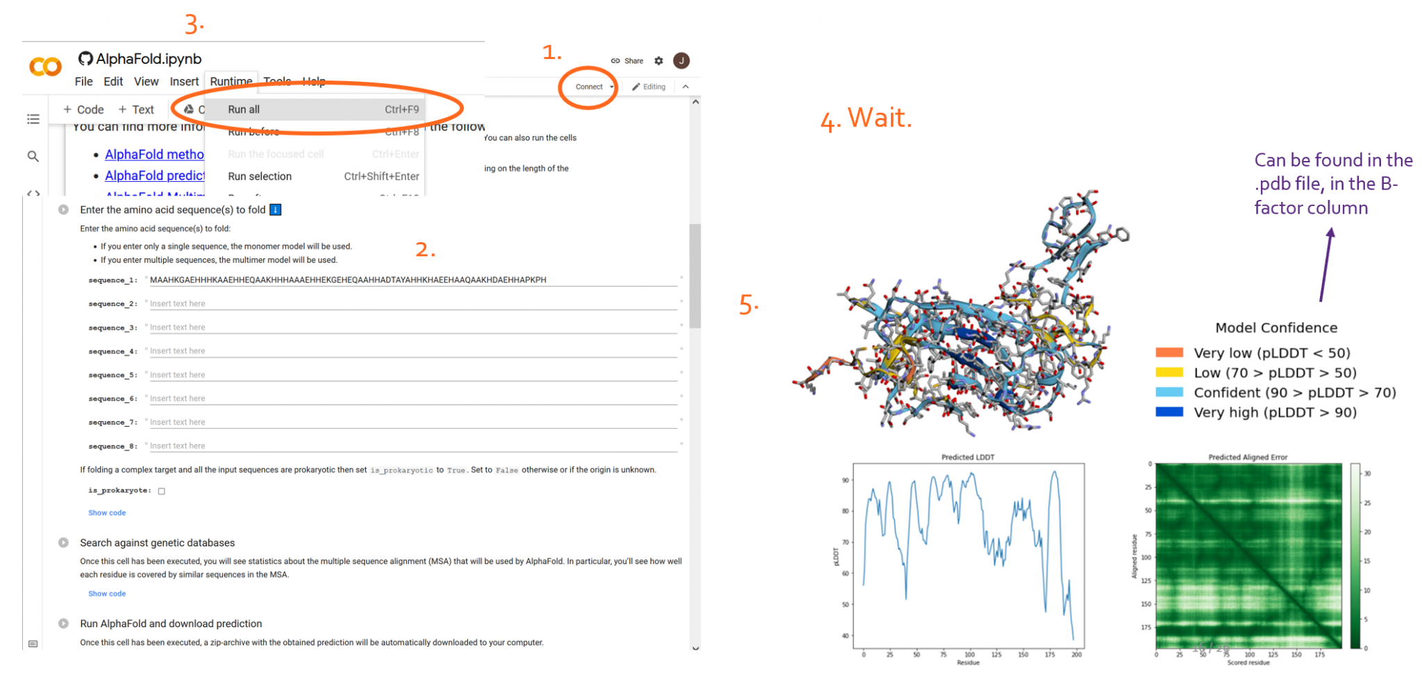 Official AlphaFold colab - E-Learning@VIB